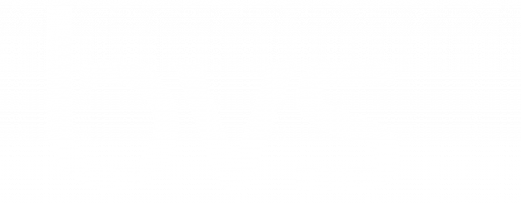 bvs logo weiss